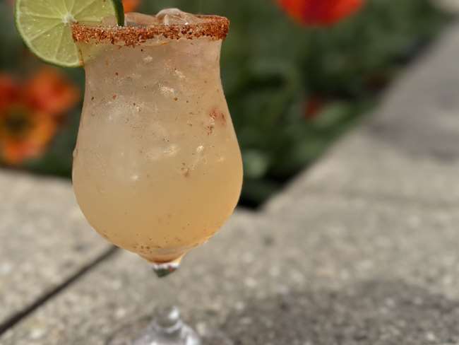 Velvet Paloma 